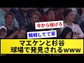 【なんかいて草】マエケンと杉谷、観客席で発見される【反応集】【プロ野球反応集】【2chスレ】【1分動画】【5chスレ】