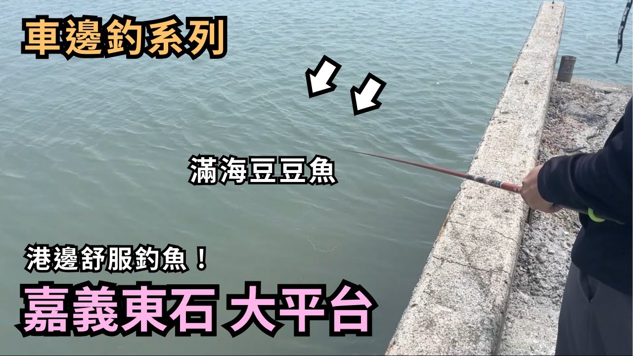 大平台 嘉義塭港🦪 滿海豆豆魚 夏日解手癢 可惜太晚來了 停車就可釣 ︱路邊釣點︱嘉義釣點︱休閒親子釣點︱Fishing︱パチスロ︱磯釣︱黑鯛︱火燒仔︱黑點仔︱石鱸︱ #嘉義釣點  #台西釣點