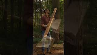 69  Building a Treehouse by Hand in the Woods