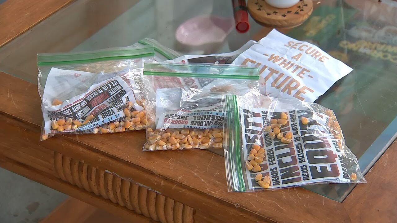 Flyers tossed in yards in attempt to exploit trauma from Henry County mass shooting