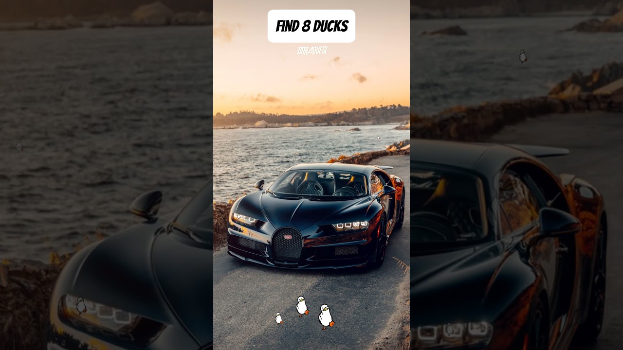 find 8 hidden ducks🦆
