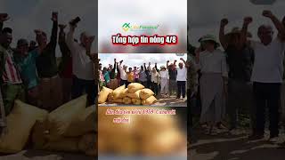 Tổng hợp tin nóng thế giới 4/8 #litefinance #litefinancevn #tintuc #news #taichinh