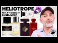Top heliotrope fragrances  what does heliotrope smell like