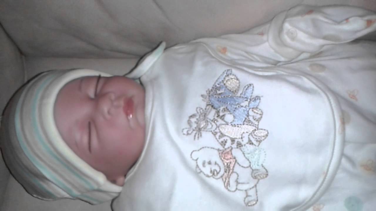 ashton drake hush little baby