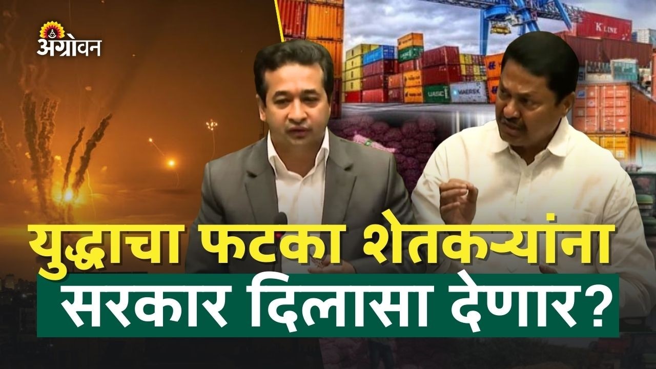 Agri Export: युद्धामुळे शेतकऱ्यांचं नुकसान, सरकार शेतकऱ्यांना दिलासा देणार का? | Agrowon