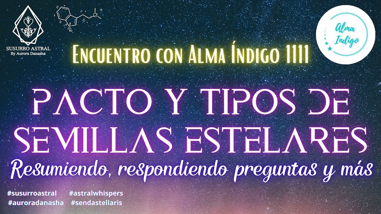 Pacto y tipos de Semillas Estelares | Encuentro con Alma índigo 1111 ...