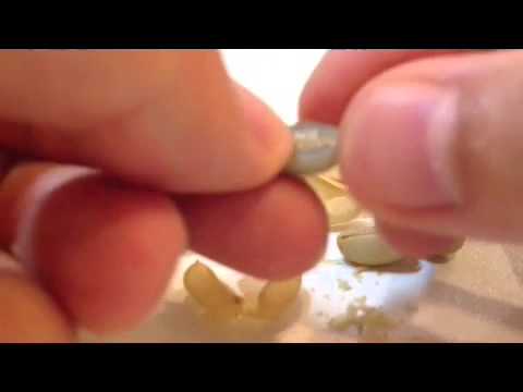 コーヒー豆のパーチメント Youtube コーヒー豆のパーチメント Youtube