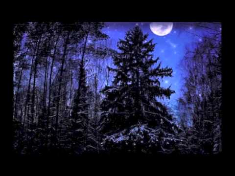 иосиф бродский. одинокий человек. иосиф бродский я входил вместо дикого. ты поскачешь во мраке по бескрайним холодным холмам. ты поскачешь во мраке.