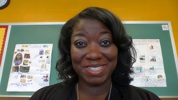 Derivational Relations Stage (plus a T-Rex)