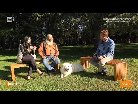 Lupi ed allevatori: una convivenza impossibile? - Unomattina 29/09/2026
