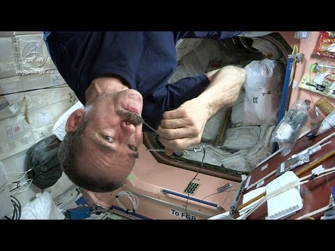 Astronaut Chris Hadfield and Chef David Chang Test Gourmet Space Food
