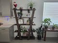 Building A Bookshelf Like No Other!