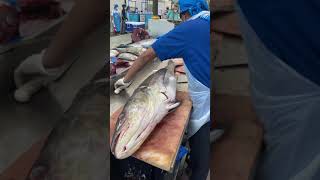 Giant Cobia Fish Cutting for Caviar | Fish Eggs | Roe | Goada | Neymeen | Mafou |  | #SHORTS