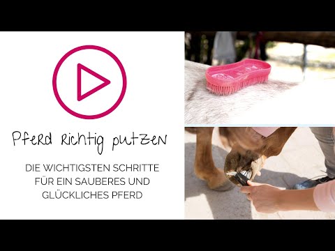 Video: Zwischen Körper und Winter, oder Manche mögen es wärmer