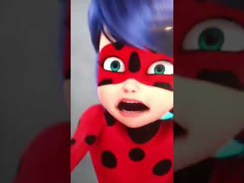 Lady Lady LadyBug