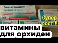 Прут в рост на витаминах! Никотиновая кислота для орхидей. витамины для роста орхидей