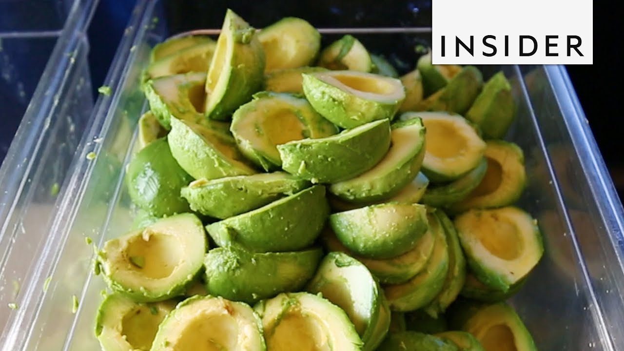 40 Pounds of Guacamole YouTube