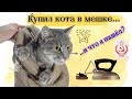 Кот в мешке?