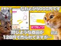ラブライブの5000円のなわとび【猫ミーム】 #猫マニ #猫ミーム