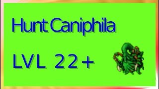 Task carniphila low level   Tibia