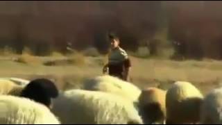 Genç çocuktan süper ses dılem loy loy