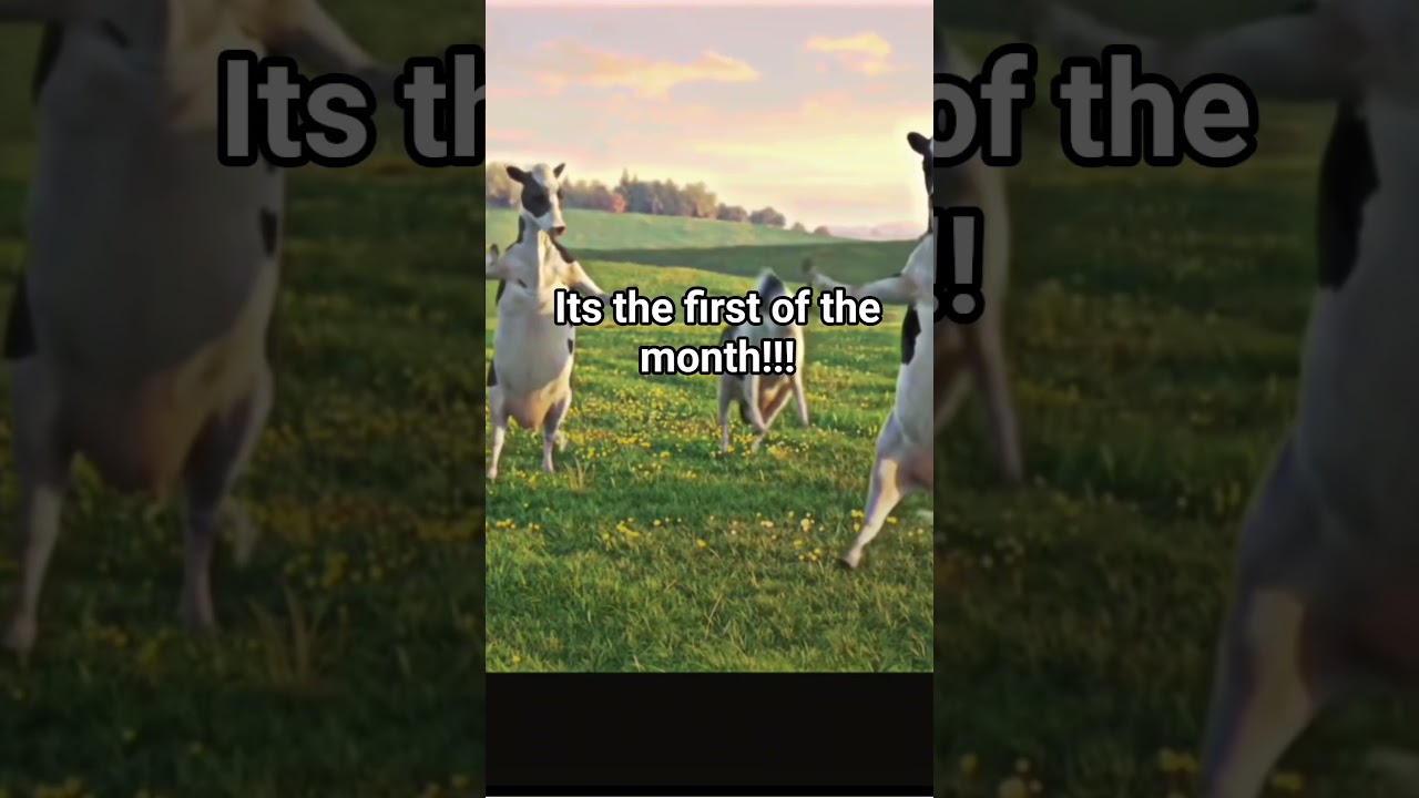 first of the October 