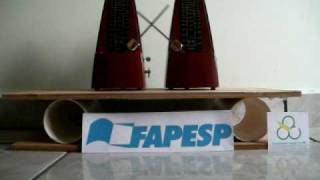 Metronomes Synchronization