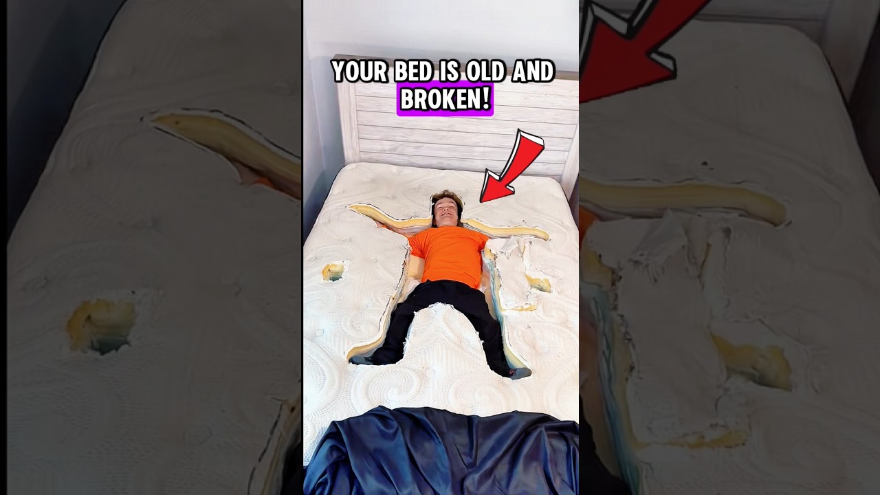 Твоя кровать сломана… Какую кровать мечты ты выберешь?! 😳🛏️ 