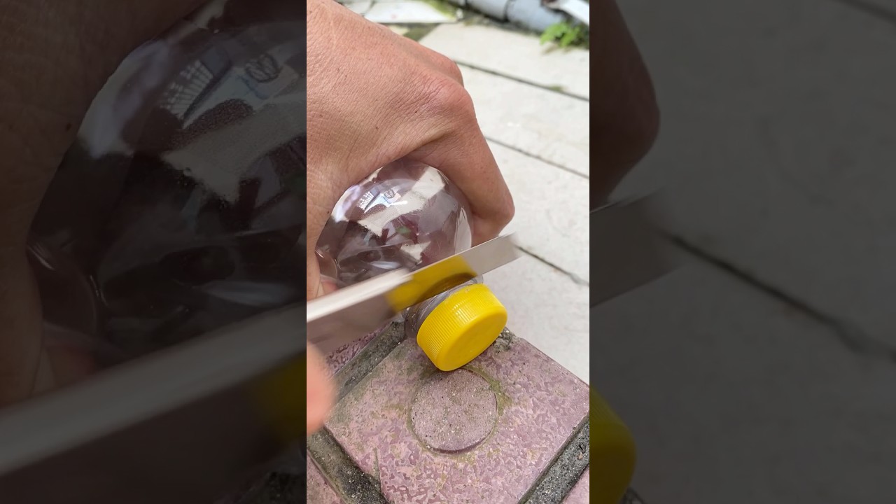 Creative lifehacks with plastic bottle caps  