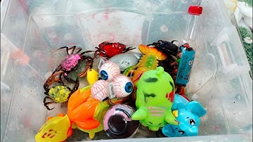 Binbotv bắt các con vật nhuộm màu trên sân con cua, con cá, cá sấu, ốc sên, con tôm part 31