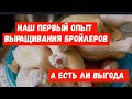 #684НАШ ПЕРВЫЙ ОПЫТ ВЫРАЩИВАНИЯ БРОЙЛЕРОВ/А ЕСТЬ ЛИ ВЫГОДА