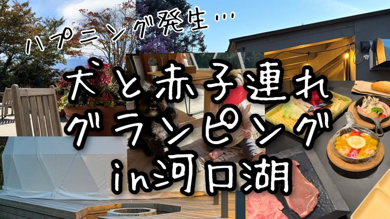 犬連れ・9ヶ月赤ちゃん連れ旅行inグランピングビレッジ河口湖