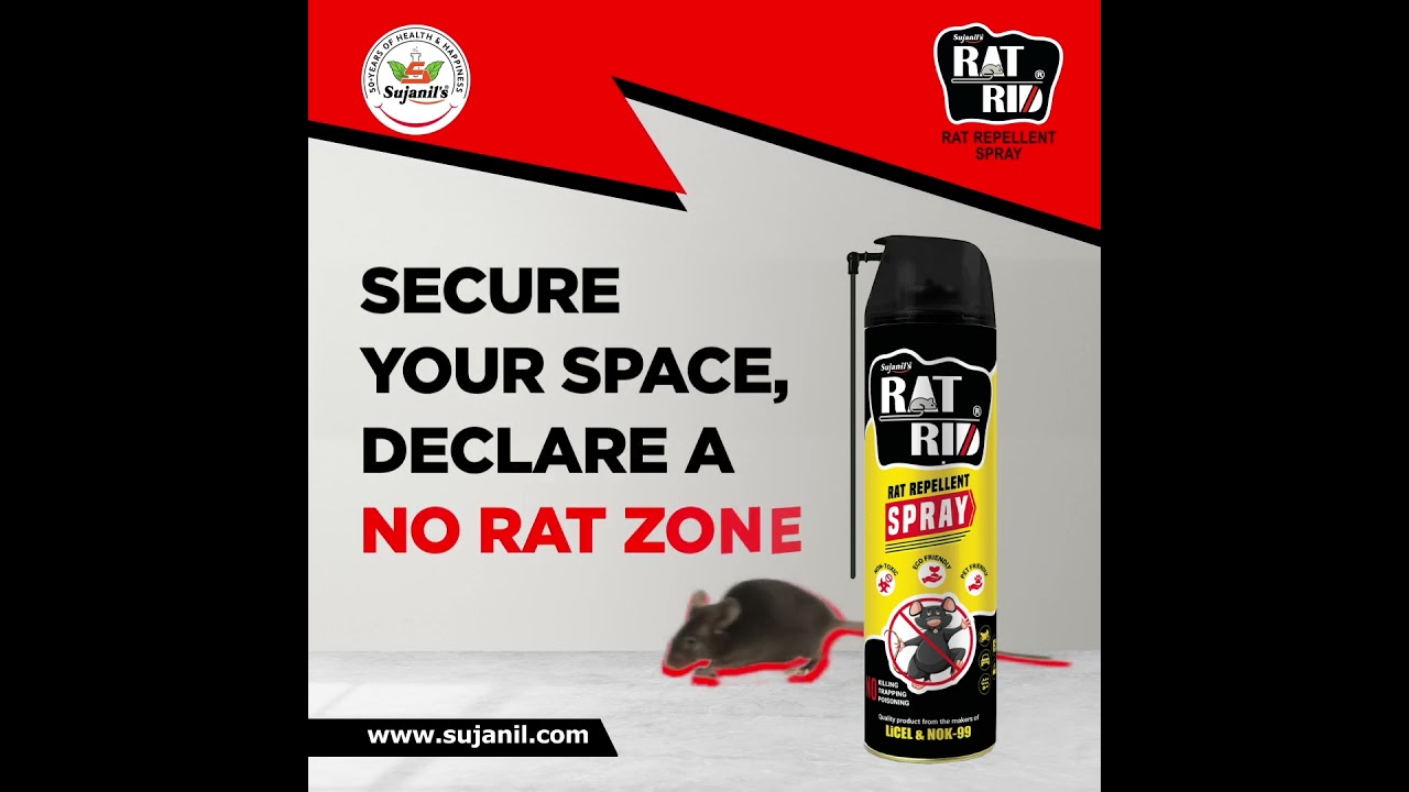Welcome to the No Rat Zone! : Rat Rid