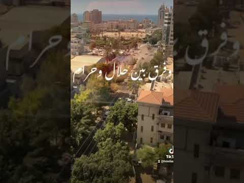 عليا الحسن ومين الدنيا دايماله ماتنسوا الاشتراك بالقناتي يوتيوب فضلا وليس أمرا 