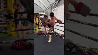 muaythai muaythaiJ muaythaiproboxing boxing bangkok thailand 