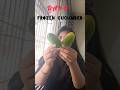 Day-6 ice cube challenge #skincare #shorts #yt #tips