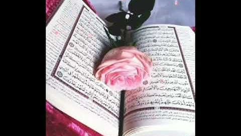 تلاوه جميلة / فسبحان الله حين تمسون وحين تصبحون 🍃