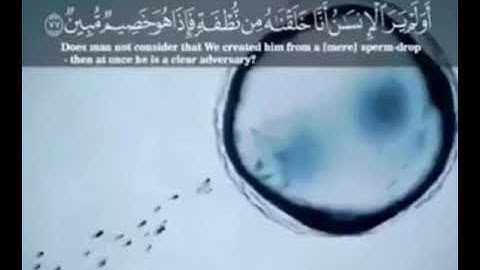 خواتيم سورة يس | Surah YaSin | للقارئ الشيخ بدر علاء
