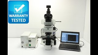 Olympus BX61 Fluorescence Motorized Microscope BX61TRF [BOSTONIND] - 31241