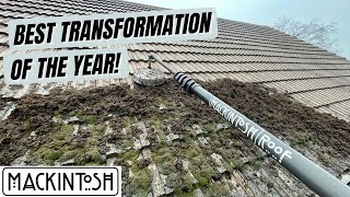 Best Roof Cleaning Transformation of the Year!