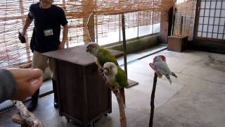 20101220 花鳥園その1