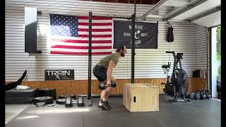 Dual DB Burpee Box Step Over
