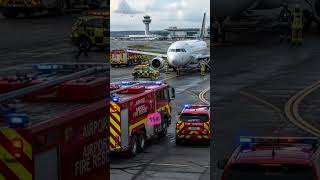 CONDOR DE1610 A321 REJECTED TAKEOFF AT 155 KNOTS AFTER BIRD STRIKE