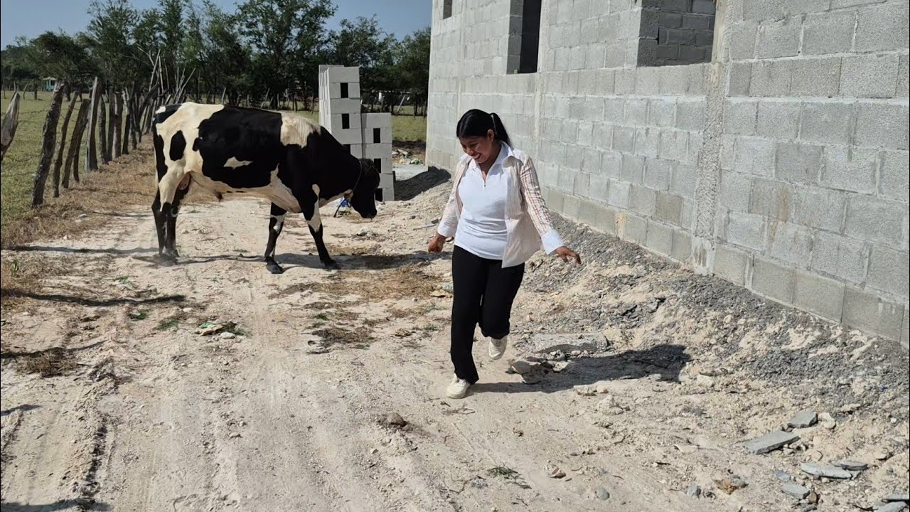 Le llegó el ganado a Elida hasta la puerta de la casa Que afortunada es🎁🥳