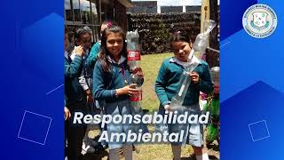 Principios Y Valores Insucionales