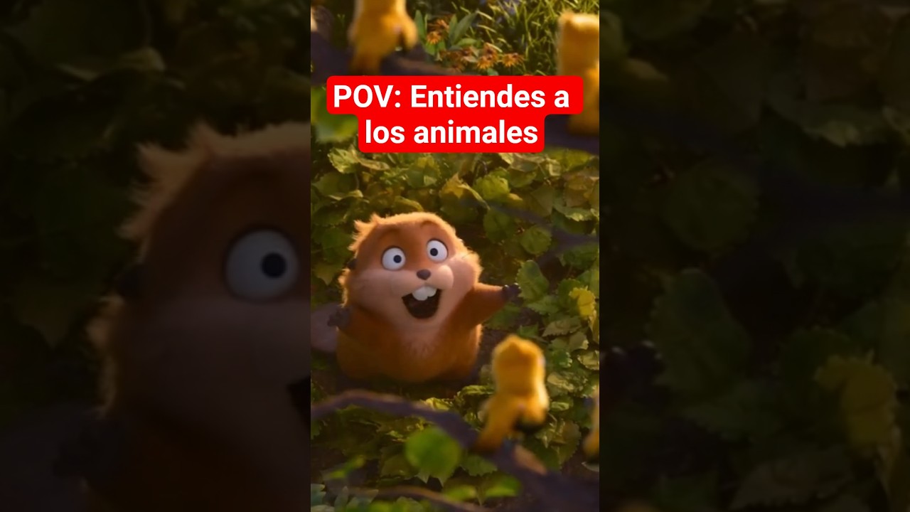 Cuando finalmente puedas entender lo que dicen los animales 🦫