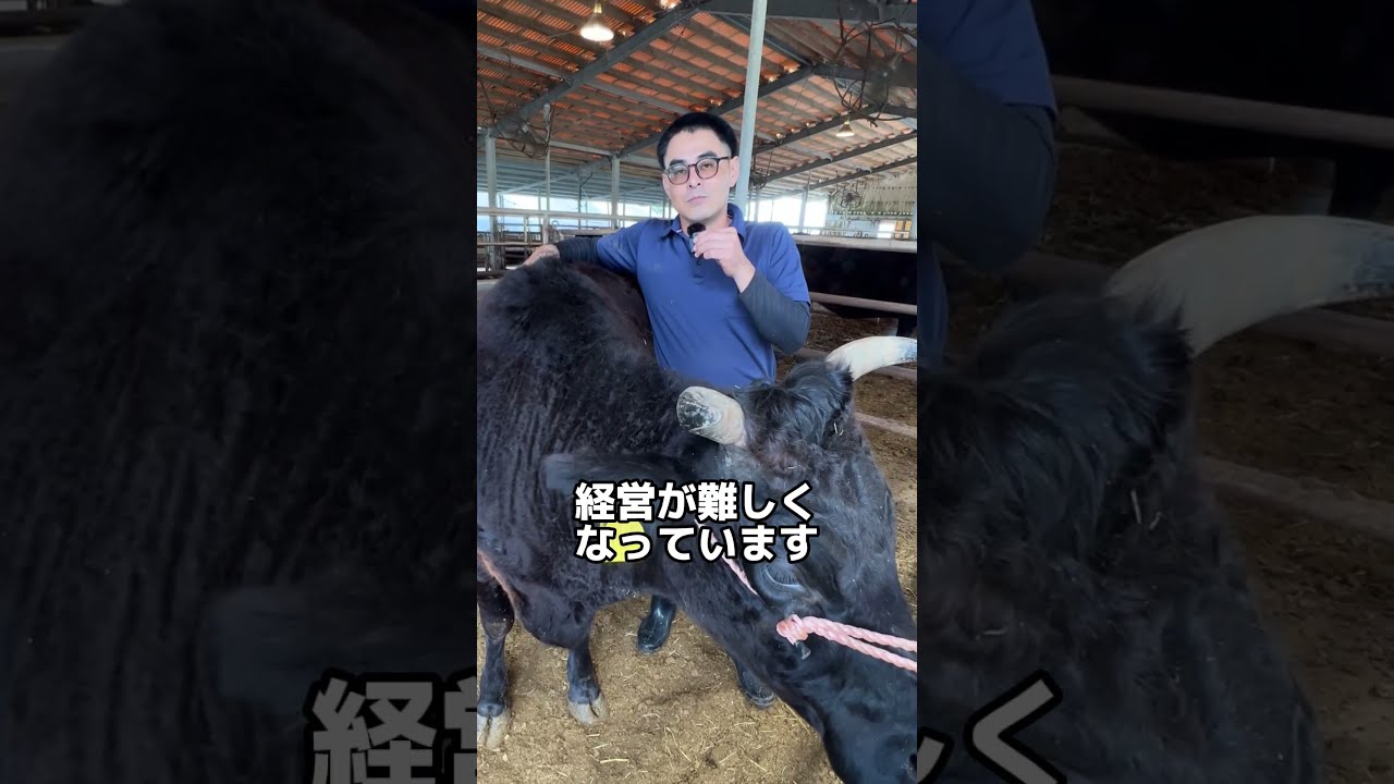 自社で牛の育成から加工まで！ 100%鹿児島県産の黒牛にこだわっ