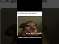 tentativa 2