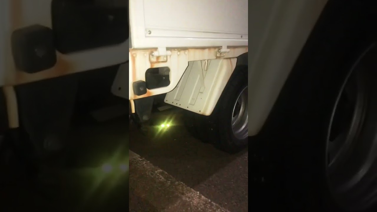 【鬼滅の刃】逃げるな卑怯者‼︎ #猫ビーム 🐈 #炭治郎　#猗窩座 Demon Slayer DON'TRUN AWAY,YOUCOWARD!! #tanjiro #catvideo #shorts