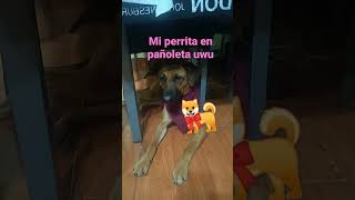 maxresdefault.jpg (1)